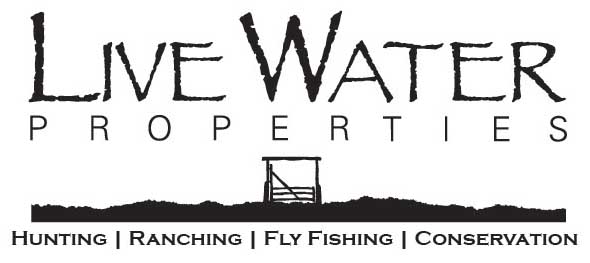 Live Water Properties