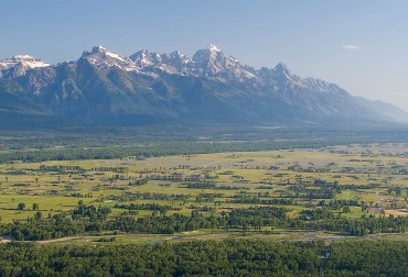 North of Jackson Real Estate