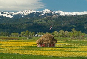 South of Jackson Real Estate