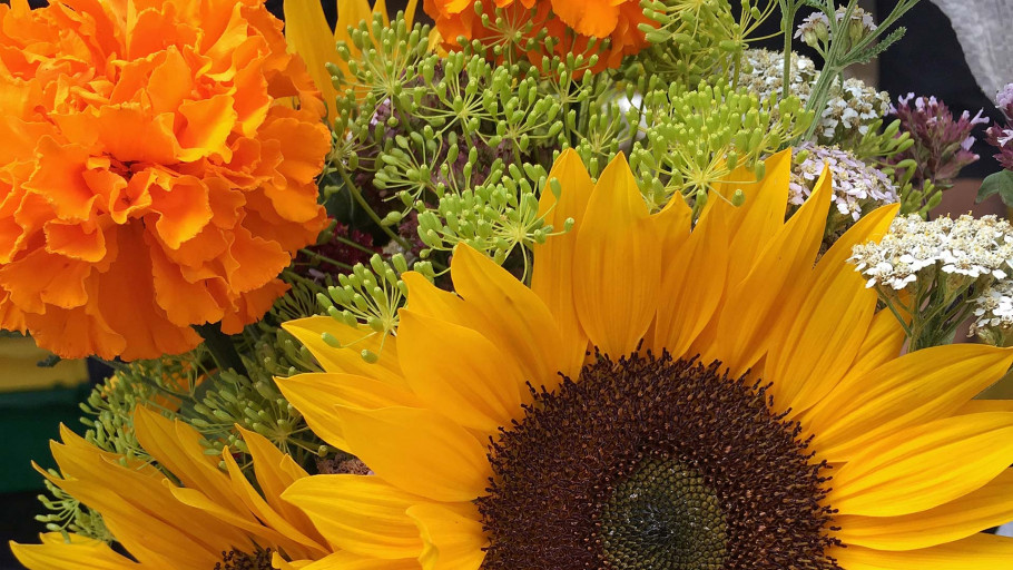 Jackson Hole Farmers Market