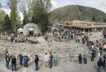 Elkfest in Jackson Hole - Jackson Hole Real Estate