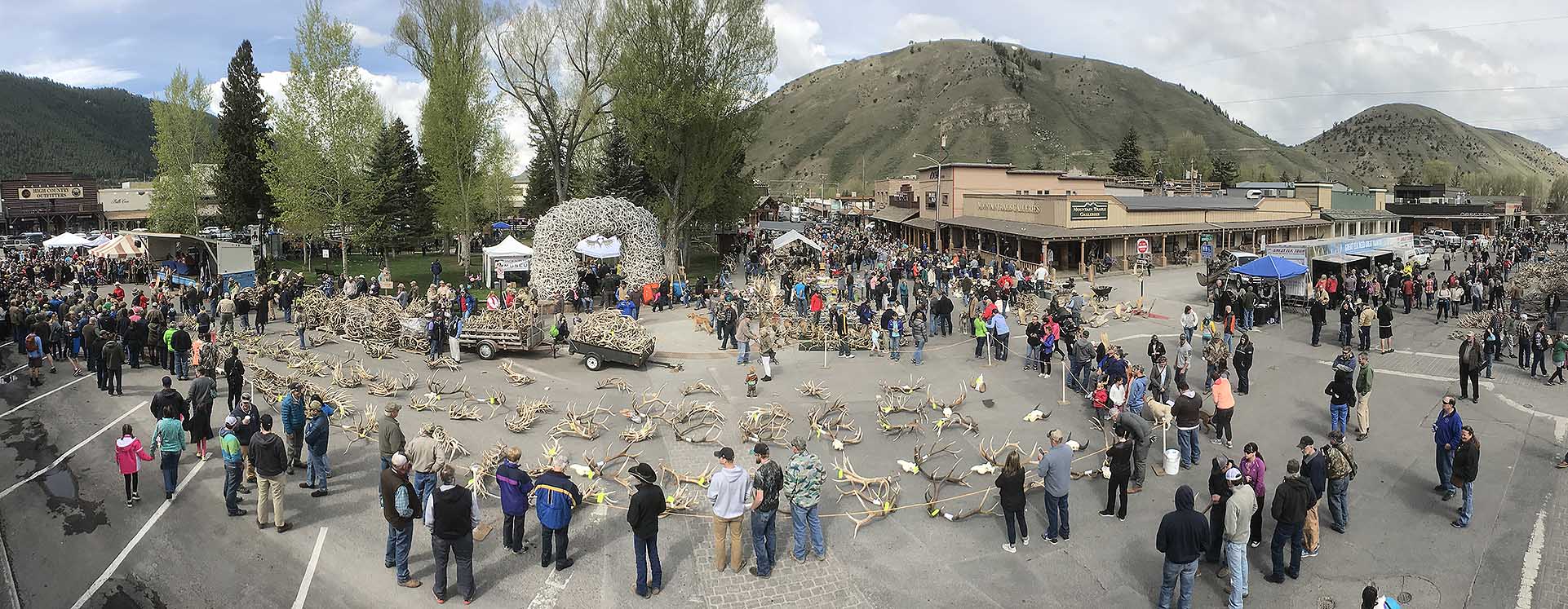 Elkfest in Jackson Hole