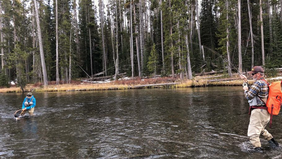 Fall Brown Trout Fishing in the Lewis Channel in Yellowstone National Park