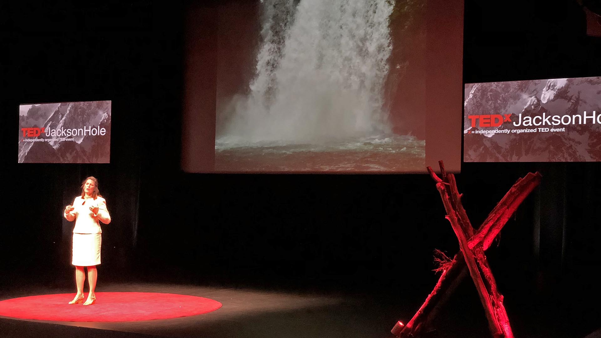 TEDxJacksonHole-2018 New York Times bestselling Author Mary Neal, Jackson Hole, Wyoming