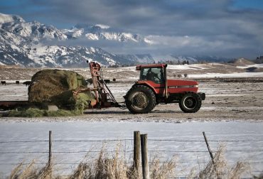Conservation Property in Jackson Hole, Wyoming
