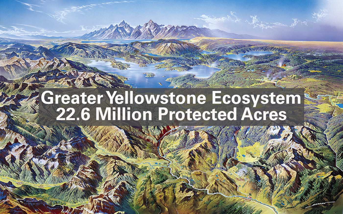 Greater-Yellowstone-Ecosystem