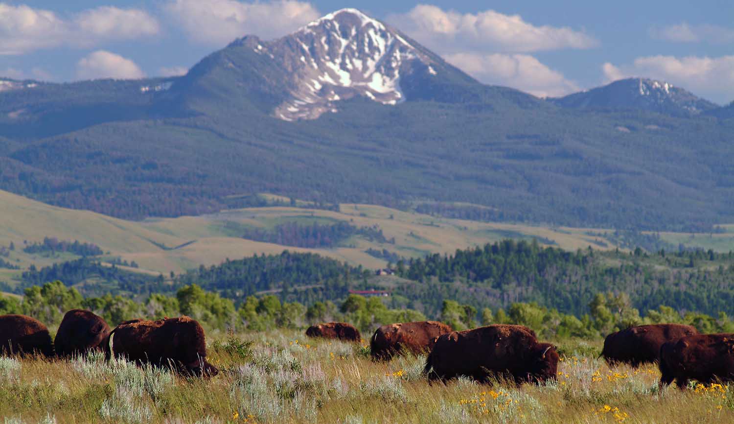 - Grand Teton National Park