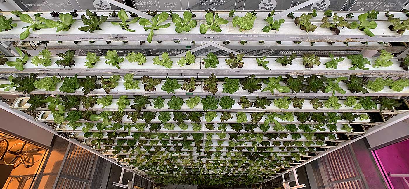 Three-story hydroponic farm, Vertical Harvest in downtown Jackson, Wyoming.