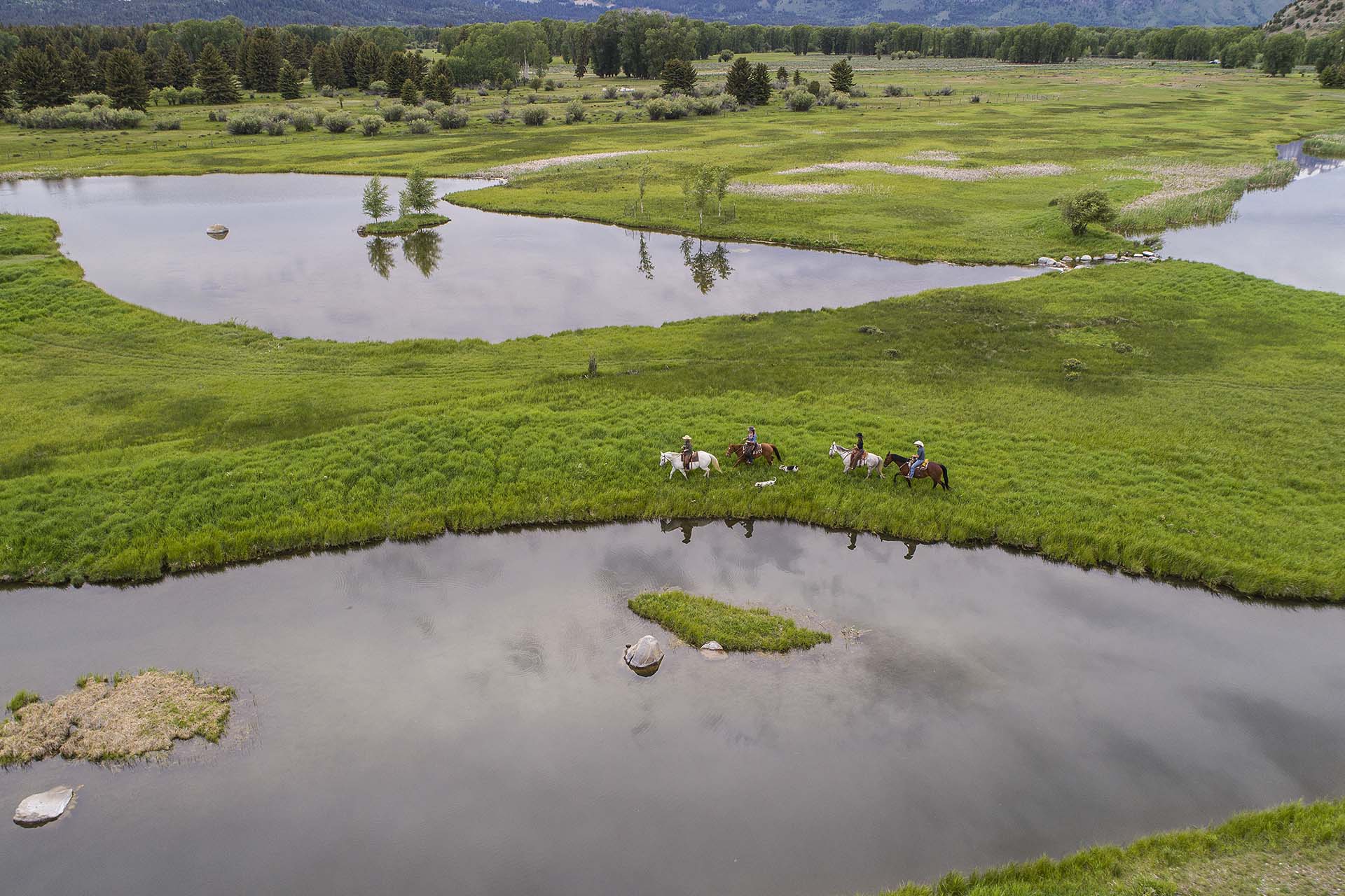 Cody Creek Ranch, Jackson Hole Wyoming Real Estate