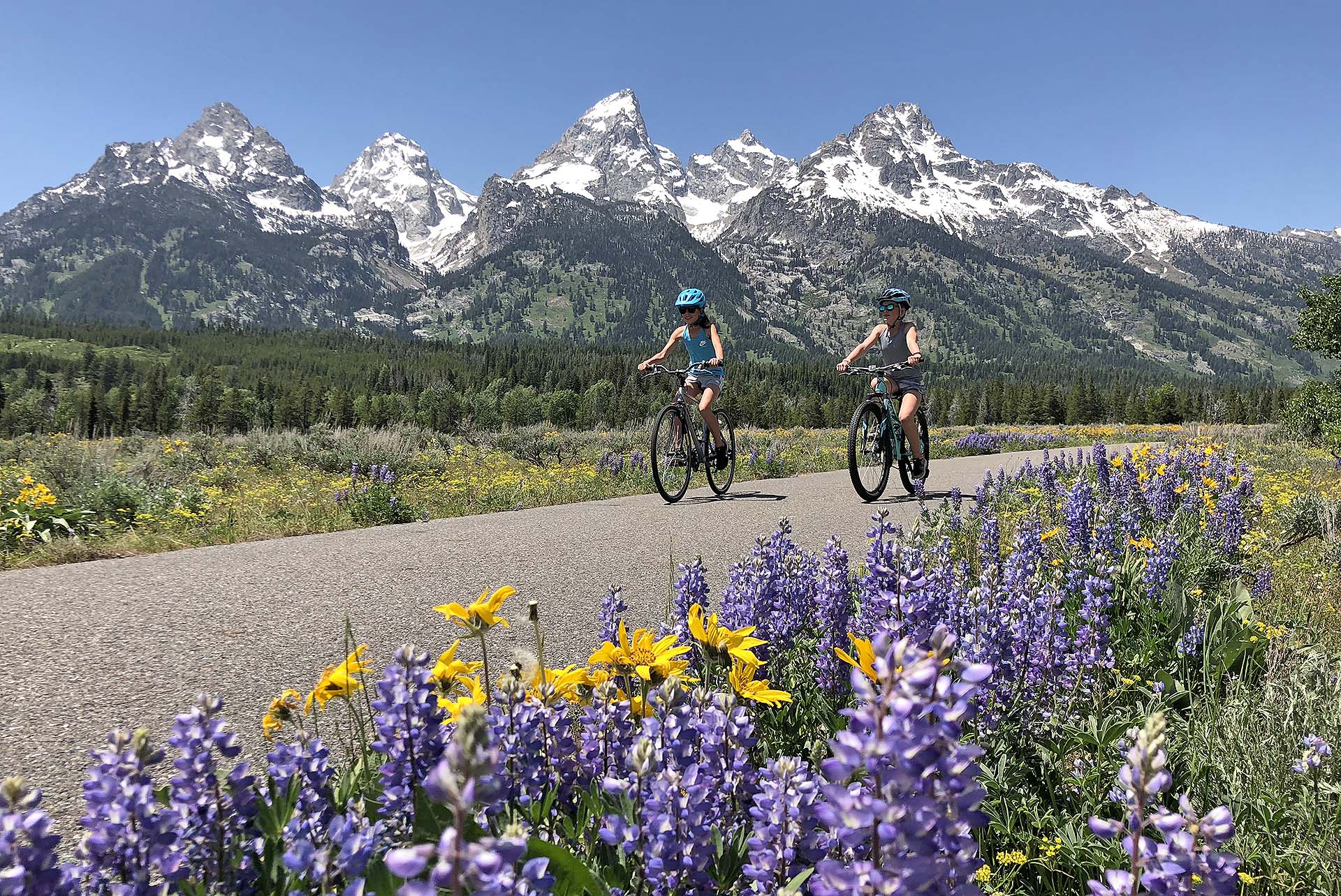 Jackson Hole Pathways