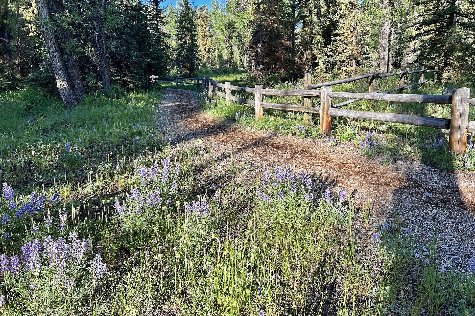 Snake River Access Trail -Solitude Subdivision - Jackson Hole, WY