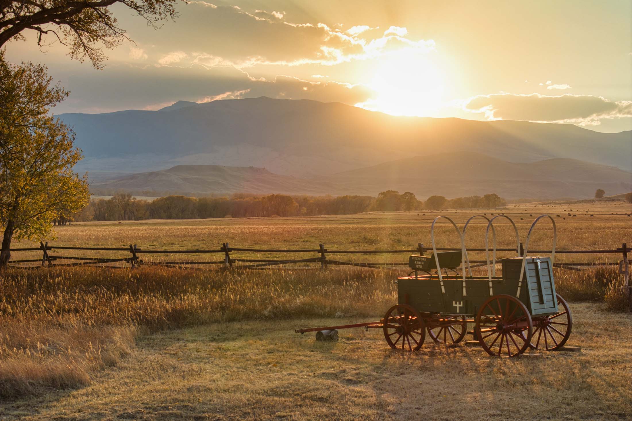 The Pitchfork Ranch