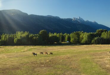 Scott&#8217;s 22 West